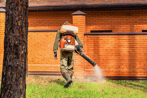 Top rated local Mosquito Control specialists in Northfield, OH